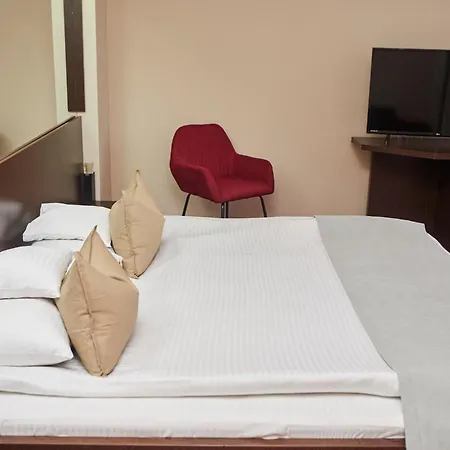 Hotel Bistrita 3* Bistriţa