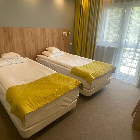 Hotel Bistrita 3* Bistriţa